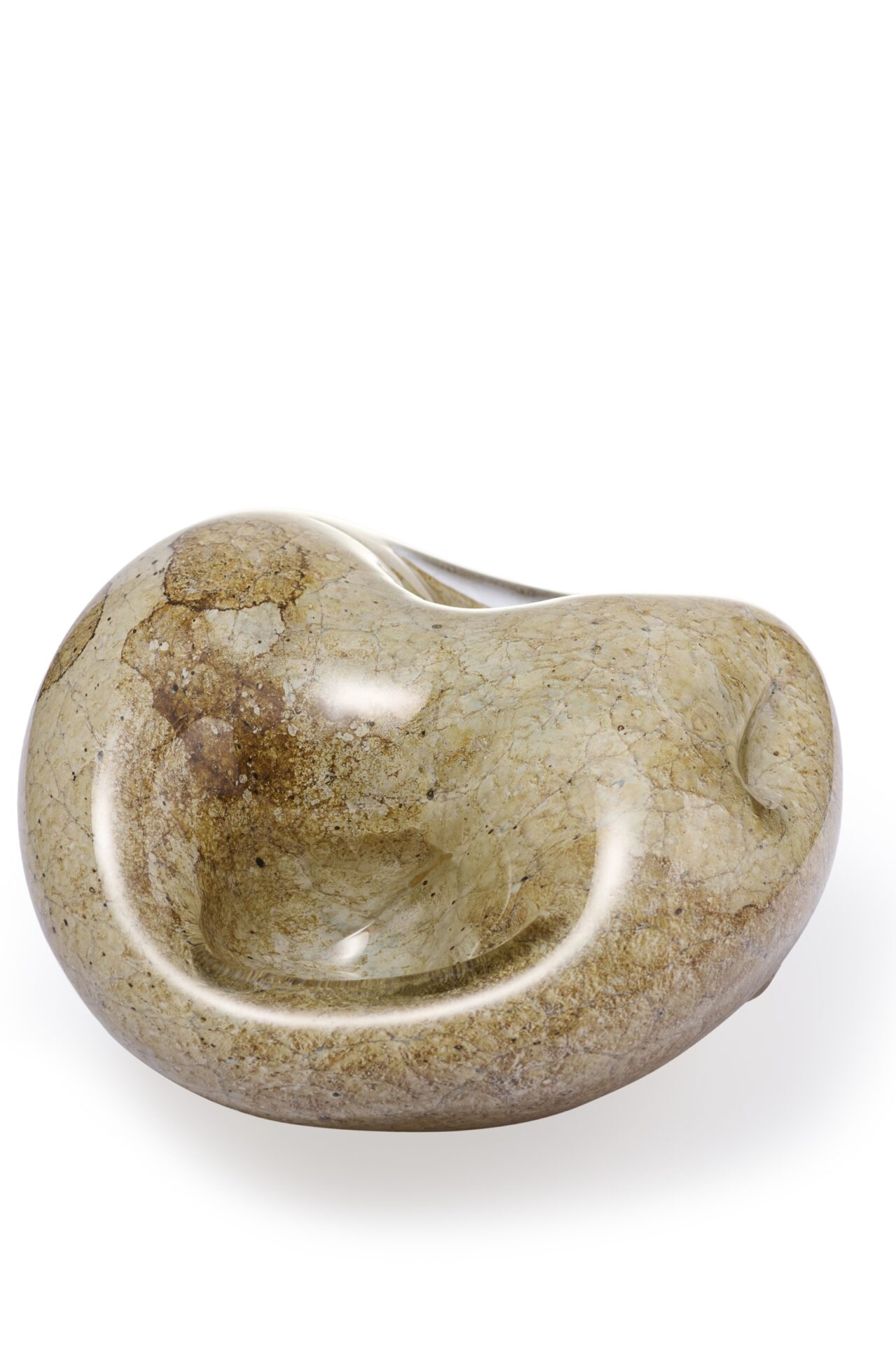 IMG_2049 QUASOLIA micro - Зображення 1